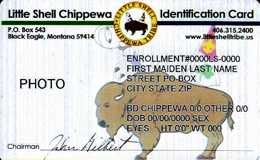 tribal ID card